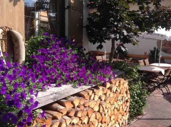Hotel Restaurant Fruehlingsgarten Füssen المظهر الخارجي الصورة